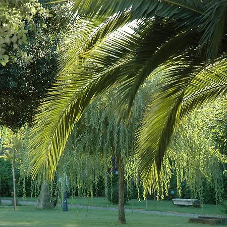 Quinta Alfaias بيت ضيافة